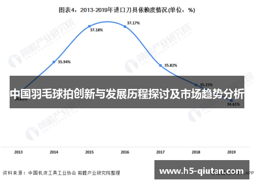 中国羽毛球拍创新与发展历程探讨及市场趋势分析