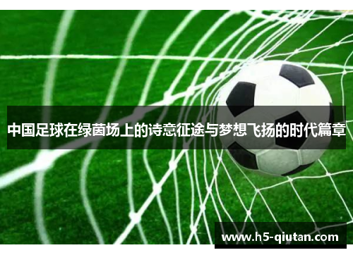 中国足球在绿茵场上的诗意征途与梦想飞扬的时代篇章